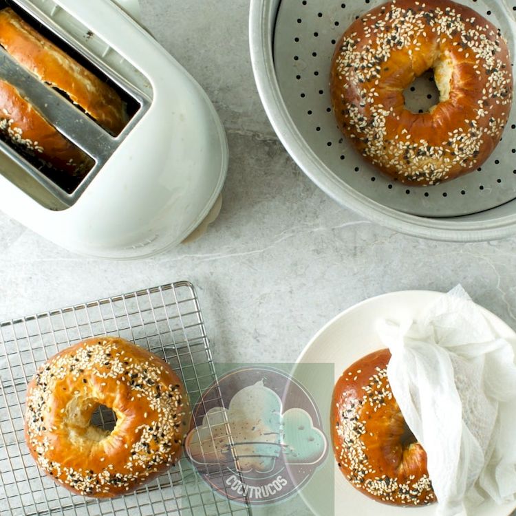 bagels que se ablandan en 4 recipientes diferentes: tostadora, vaporera, horno, microondas